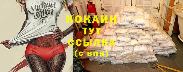 шишки Нефтекумск