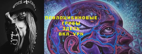 шишки Нефтекумск