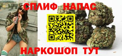 индика Гай