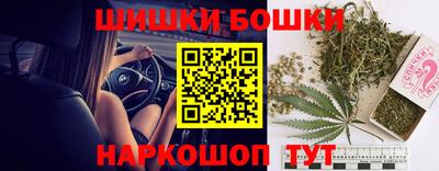 индика Гай