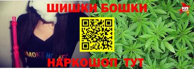 индика Гай