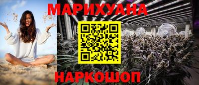 индика Гай