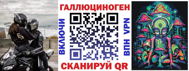 закладка  Ярославль  Псилоцибиновые грибы Magic Shrooms 