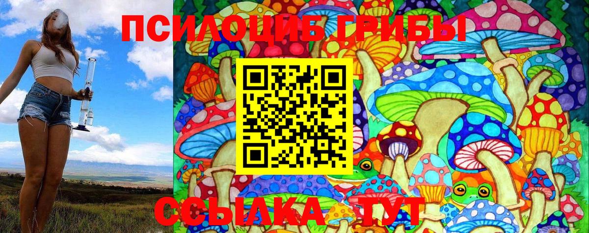 Псилоцибиновые грибы Magic Shrooms Ярославль