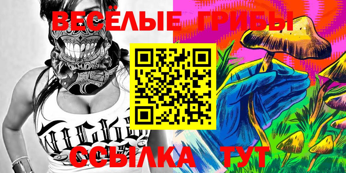 Галлюциногенные грибы GOLDEN TEACHER Ярославль