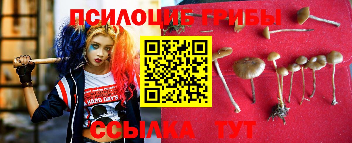 Псилоцибиновые грибы мицелий  закладки  Ярославль 