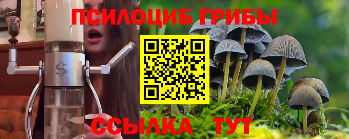 купить наркоту  Псилоцибиновые грибы Magic Shrooms  Вход с VPN  Галлюциногенные грибы Cubensis  Ярославль 